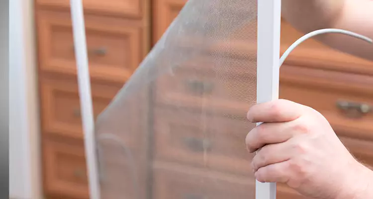 Privacy Mesh Screen Door Installation in Menlo Park, CA